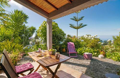 Quinta Devónia III - Nogueira by An Island Apart - Foto 5