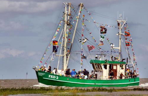 Ferienwohnung HEIN am Nordseedeich - Photo 24