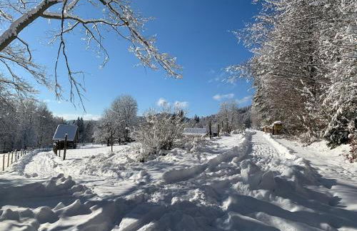 Bezauberndes Gästehaus im Grünen mit Terrasse - Foto 16