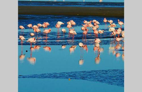 Arabia`s Loft II Nuevo Portil - Foto 32