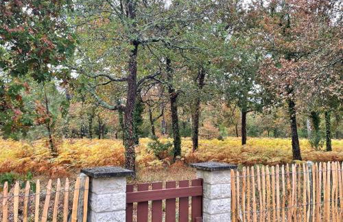 Cap Ferret - Villa Sérénité - piscine, proche Océan et Bassin, classée 4 étoiles Meublé de tourisme - Foto 34