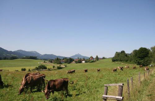 Am Grüntensee - Foto 10