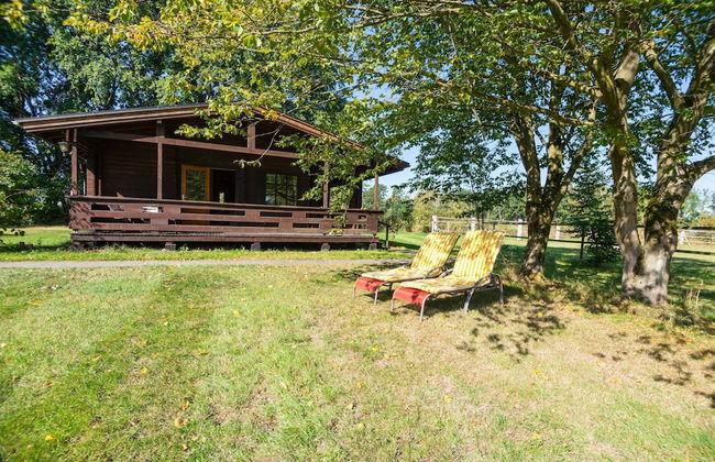 Ferienhaus in Eschede - Photo 48