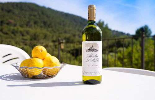 Can Company - Foto 64