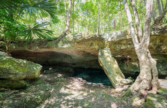 Villa Tu-Kaán Stunning 2BR - Attha Cenote - Photo 22