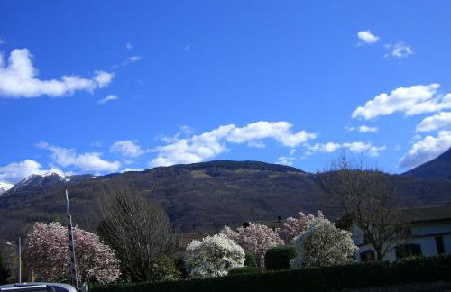 La Gallina - Foto 32