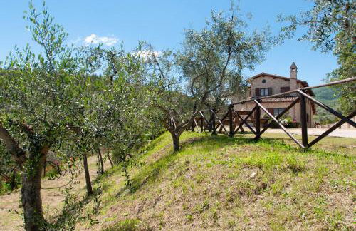 Agriturismo Molino Verde - Foto 5