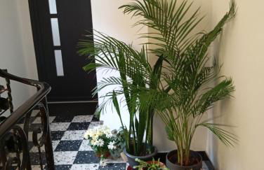 Les charmes de la Kirneck - Photo 27