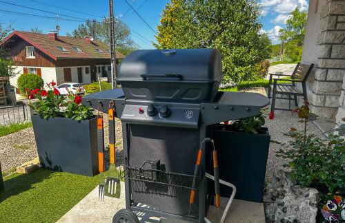 Le Myosotis, Perle du Haut Doubs - Foto 29