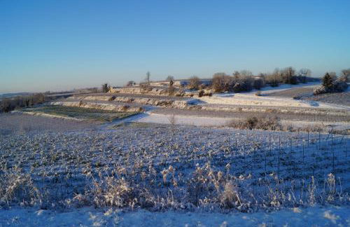Weingut Landmann Ferienwohnungen - Foto 7