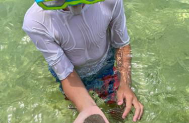 Ocean Mist - Foto 23