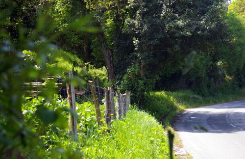 Casa Pelayin - Foto 57