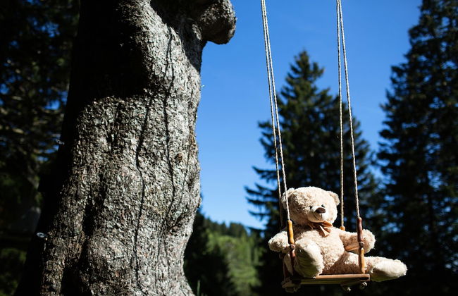 Chalet Alpinka - Foto 27