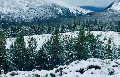 Aviemore Stay & Explore - Foto 17