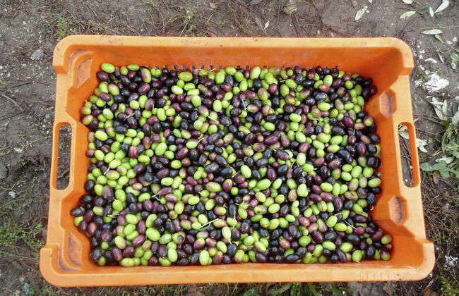 Belvilla by OYO Chalet Graffi - Foto 32