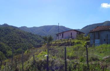 Mini Appartement Colombana - Foto 2