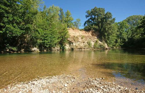 Vigne et cigale - Foto 26