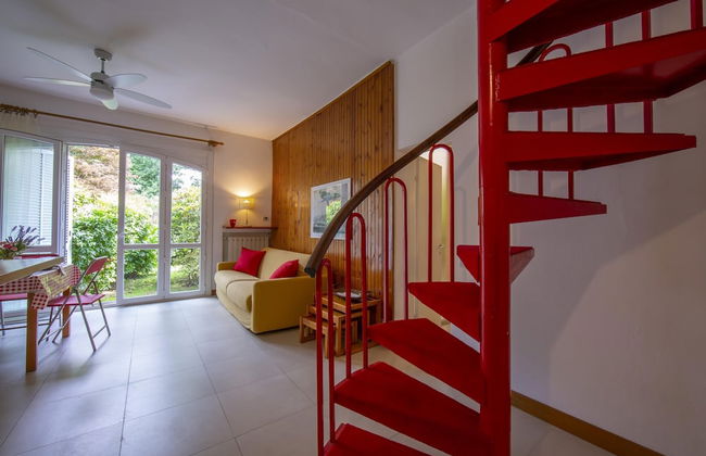 Rododendro Rosso in Ispra - Foto 14