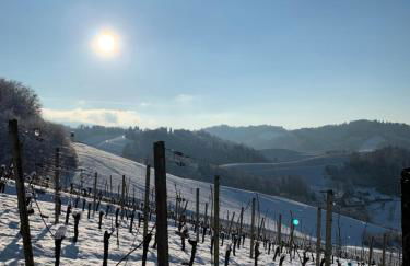 Ferienapartment Huber - Foto 18