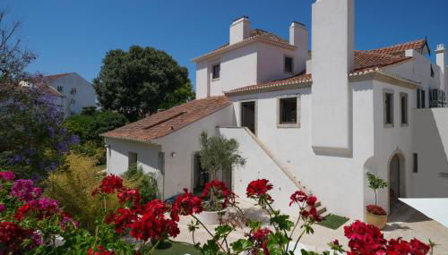 Jardim de Copas - Foto 3, Garden