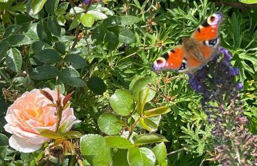 The Coach House - Foto 43