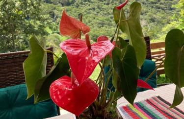 A Cabana mais bucólica de Araras - Foto 7