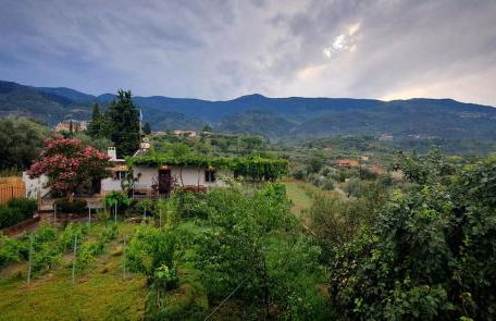 Taygetos Escape Sparta - Foto 30