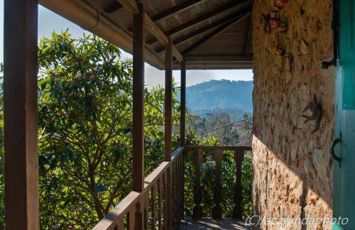 Villa la Pieve - Foto 40