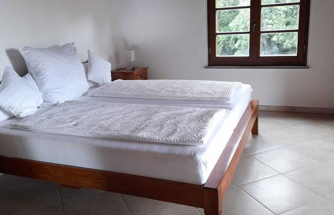 Tenuta di Seripa - Foto 32