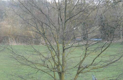 Holme View, Masham - Foto 10