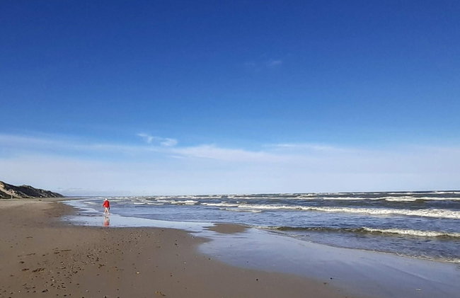 4 Star Holiday Home in Albaek - Foto 25