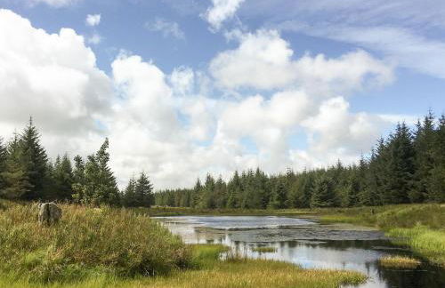 Pinclanty Cottage - Foto 17