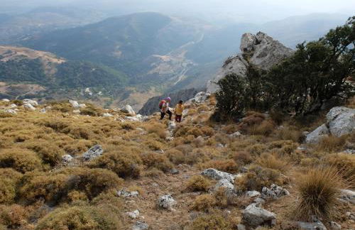 Marika's House - Foto 38