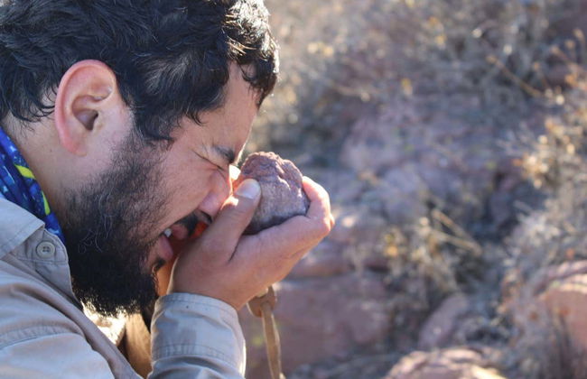 Sunset Hike on Tamaya Hill - Photo 7