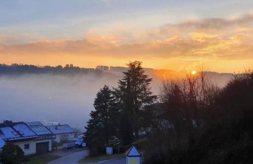 Auszeit am Fluss - Donau - Foto 3