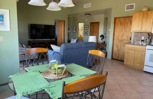 Tucson Mnt Foothills Saguaro Bliss - Foto 13