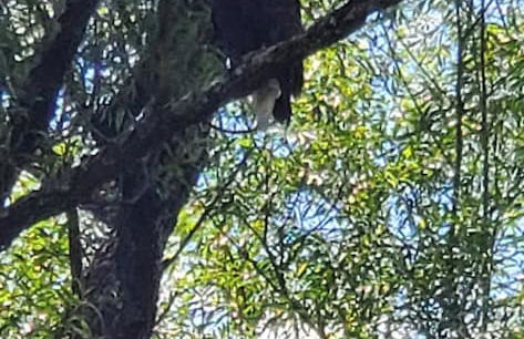 Catskill Retreat - Foto 76