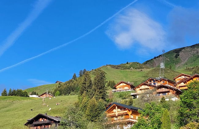 Alpage Immo Location Service - Foto 53