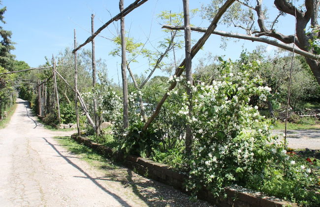Agriturismo Piccolo Paradiso - Foto 60