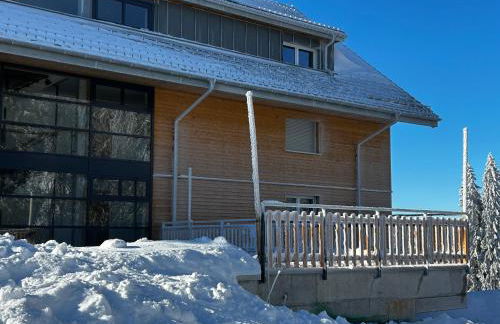 Feldberg Apartment - direkt an der Skipiste - mit Sauna - Foto 48