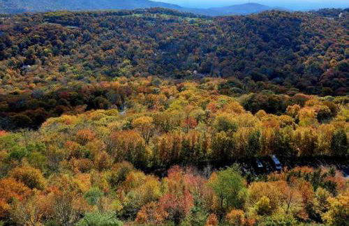 Handsome 2BR Condo with Gorgeous Views in Sugar Mountain! condo - Foto 40