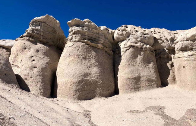 Escursione privata ai funghi di Tocota - Foto 1