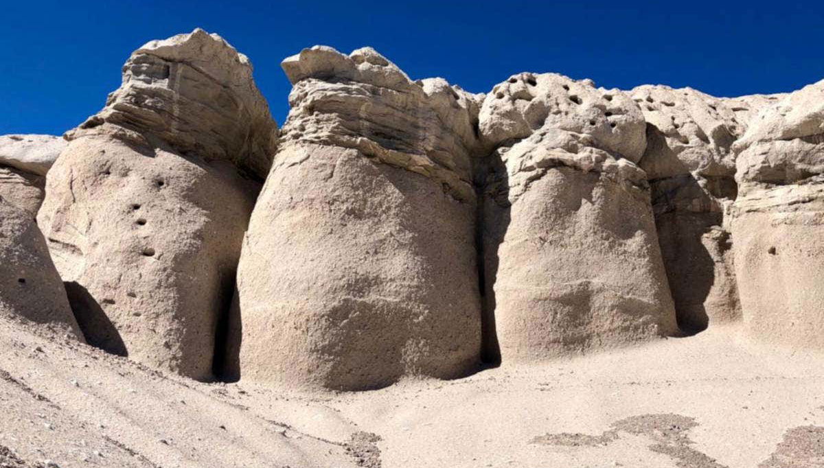 Hongos de Tocota, Argentina