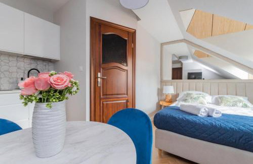 Apartamenty Gajówka- rowery, plac zabaw, sauna, jacuzzi - Foto 12