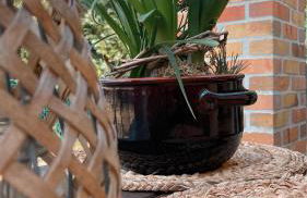 Ferienwohnungen Weise im Lausitzer-Seenland - Photo 57