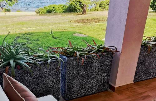 Pieds dans l'eau - La Villa Crique aux tortues - Foto 29