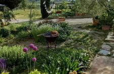 Agriturismo Poderino - Foto 39