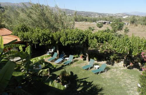 Silvi Mari Apartments - Foto 56