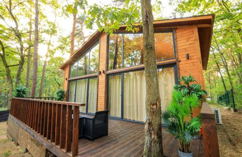 Bizon Village - Foto 67