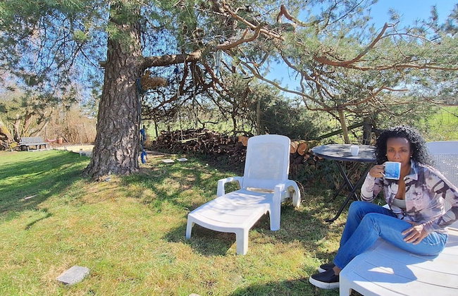 House Ardennes Blue in Theux Near Spa - Foto 20